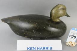 Ken Harris Black Duck