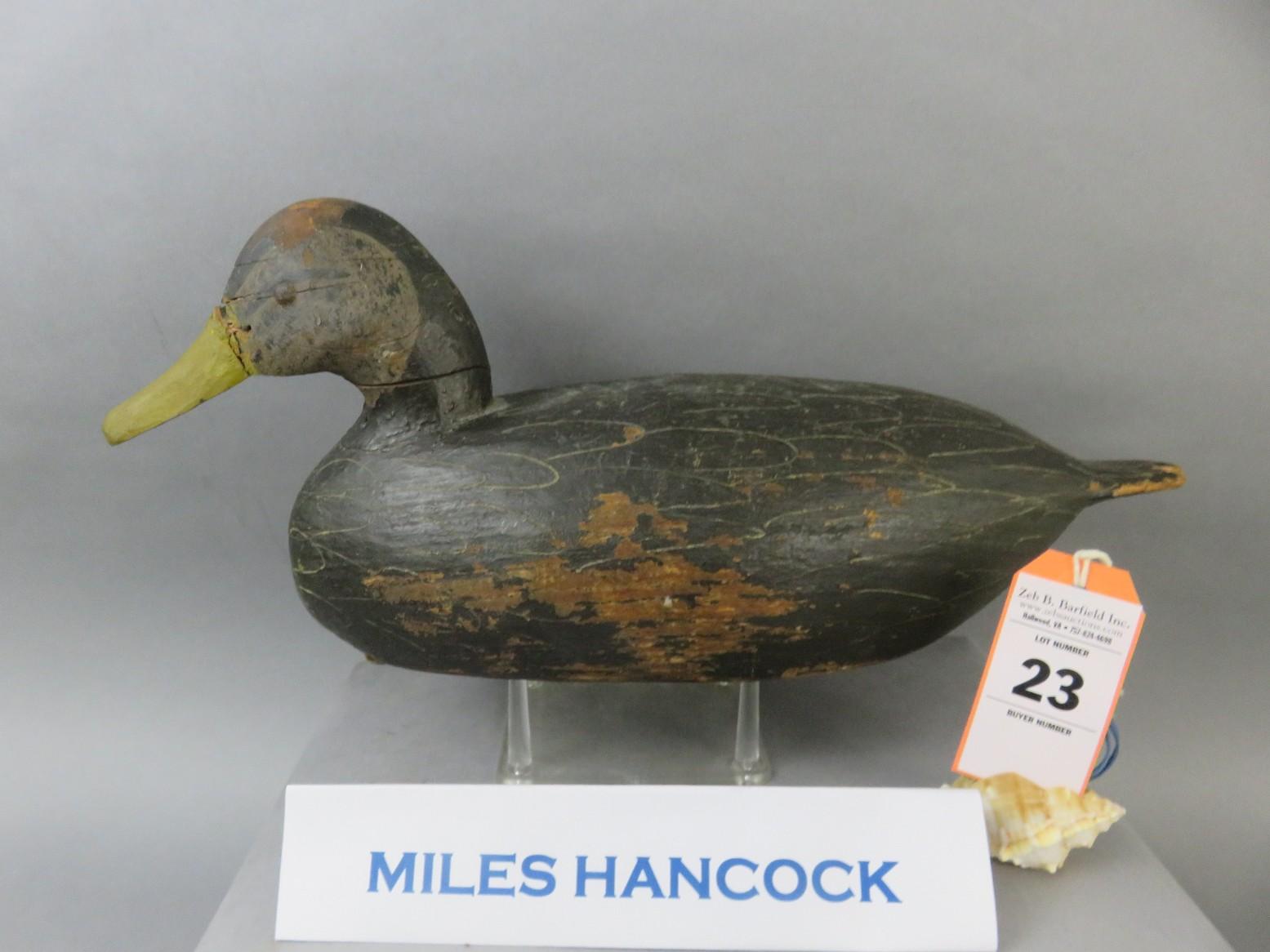 Miles Hancock Black Duck