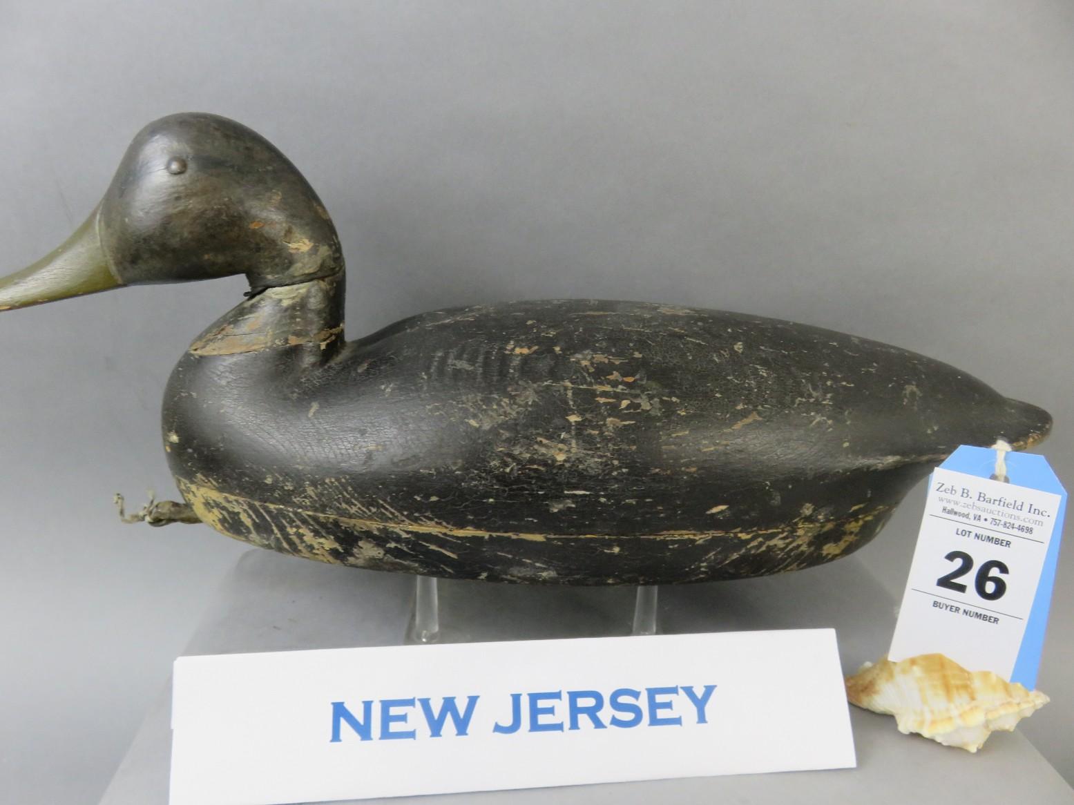 New Jersey Black Duck
