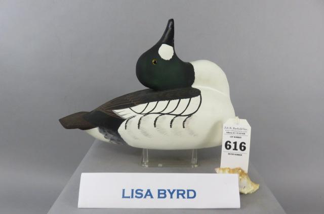 Lisa Byrd Goldeneye