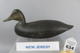 New Jersey Black Duck