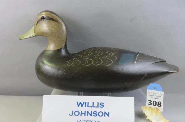 Willis Johnson Black Duck