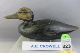 A.E. Crowell Black Duck