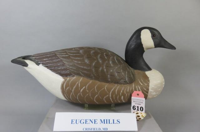 Eugene Mills Canada Goose