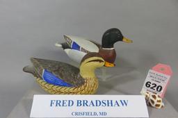 Fred Bradshaw Mallard Pair