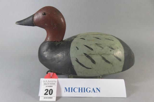 Michigan Canvasback