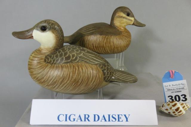 Pr. Cigar Daisey Ruddy Ducks