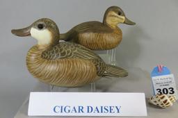 Pr. Cigar Daisey Ruddy Ducks