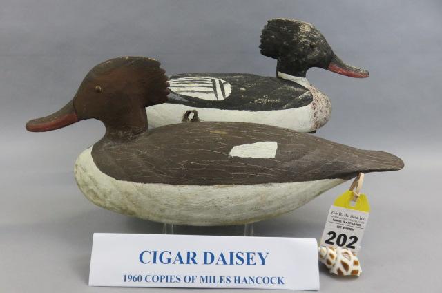 Merganser Pair by Cigar Daisey