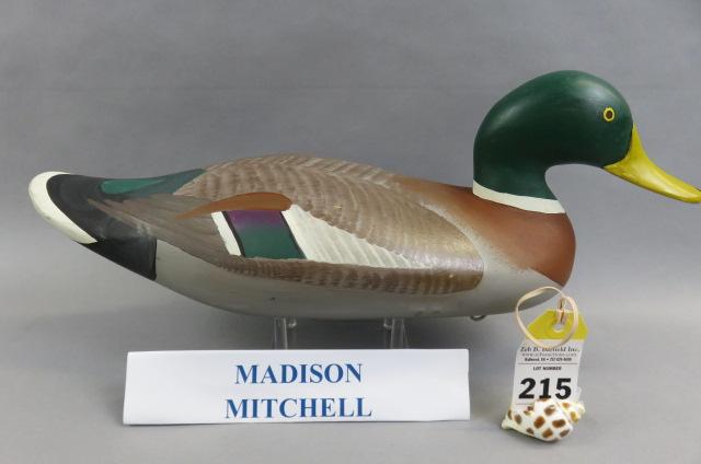 Mallard by Madison Mitchell