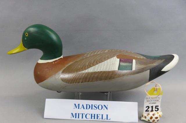 Mallard by Madison Mitchell