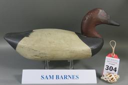 Canvasback by Sam Barnes