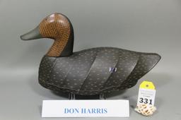Black Duck by Don Harris