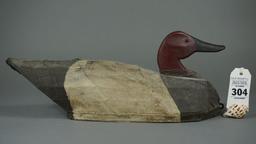 Canvasback by Ardell Waterfield