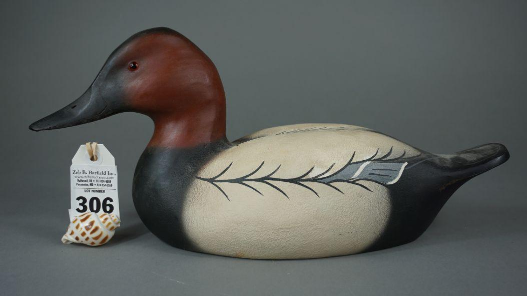 Canvasback by William Veasey