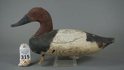 Upper Bay Canvasback