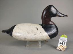 Canvasback by Will Heverin