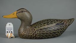 Blackduck by TJ Hooker