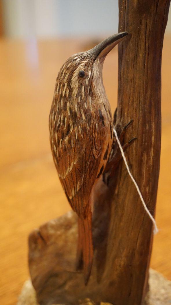 Brown Creeper by William Cowen