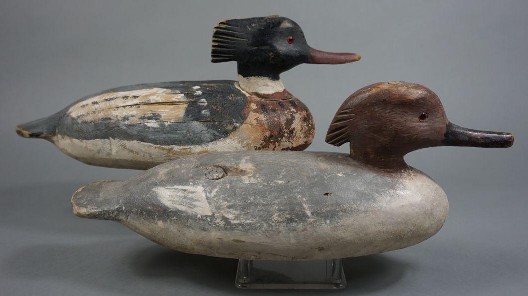 Mergansers by Cigar Daisey