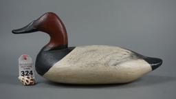 Canvasback by Jim Currier