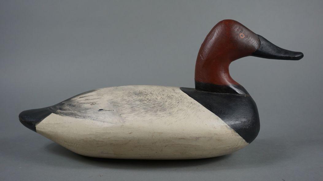 Canvasback by Jim Currier