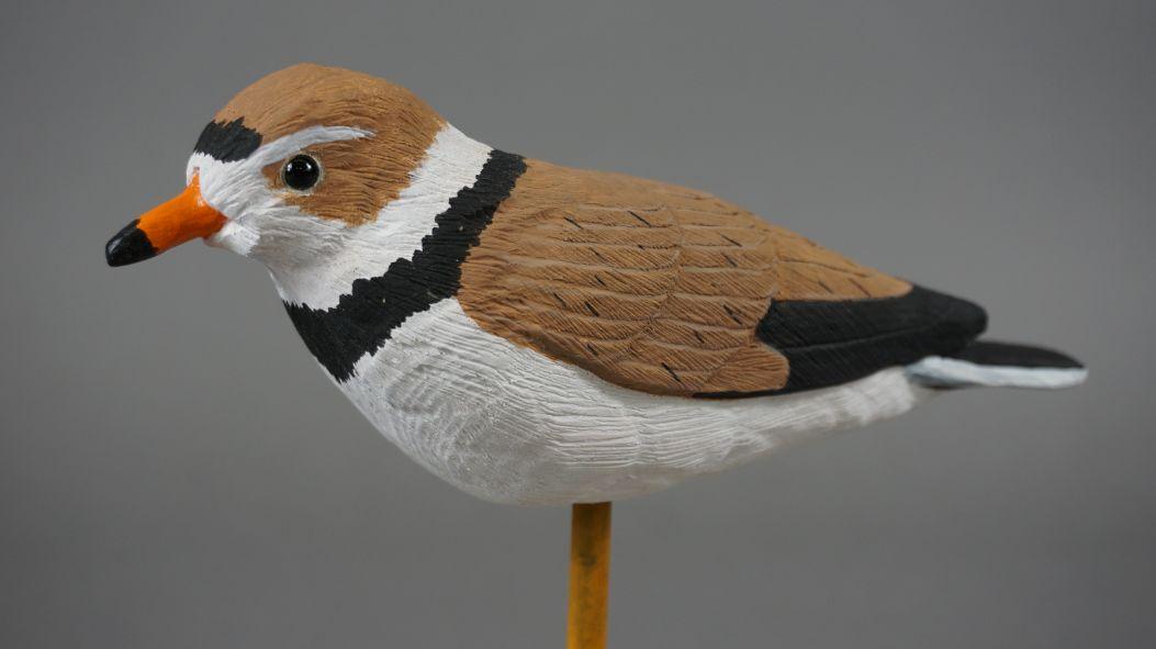 PLOVER BY MIKE ADCOCK