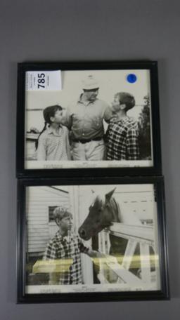 FRAMED PHOTOS FROM MISTY OF CHINCOTEAGUE