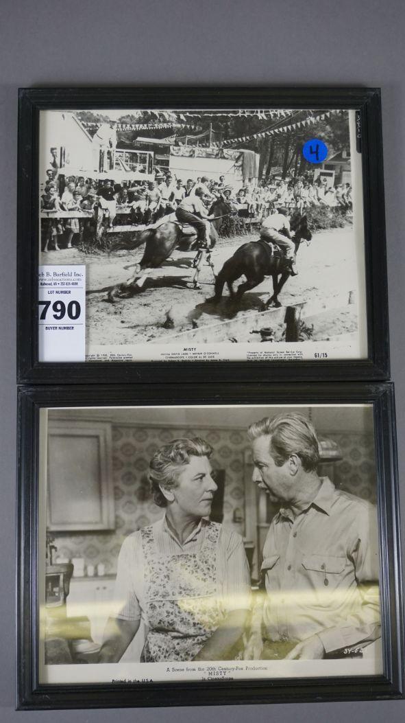 FRAMED PHOTOS FROM MISTY OF CHINCOTEAGUE