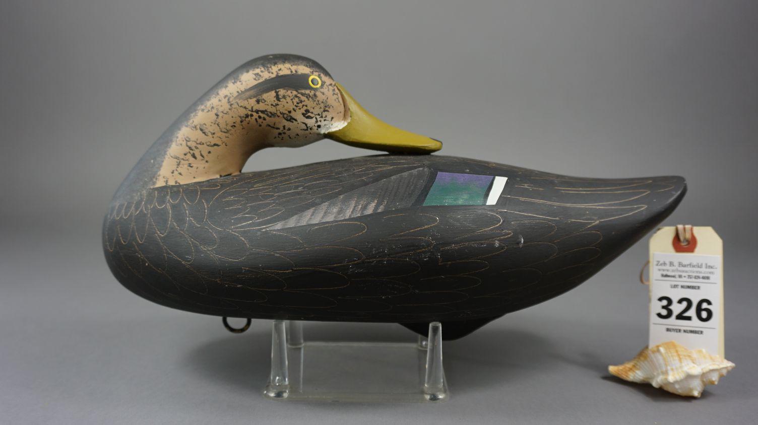 Blackduck by Pat Vincenti