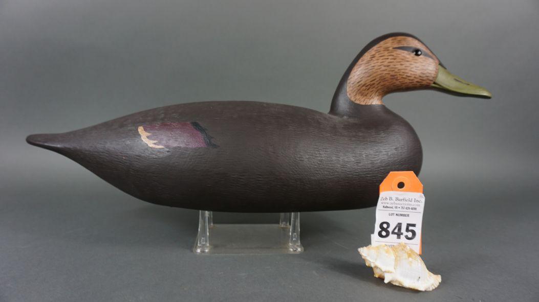 Black Duck Branded GA