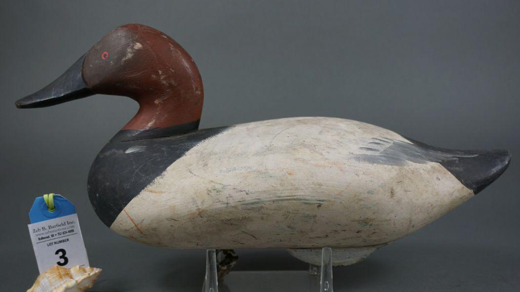 Canvasback by Madison Mitchell