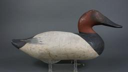 Canvasback by Madison Mitchell