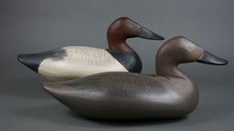 Canvasbacks by Paul Gibson