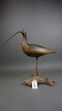 Curlew by Jimmy Bowden