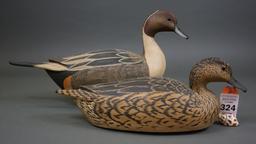 Pintails by Grayson Chesser