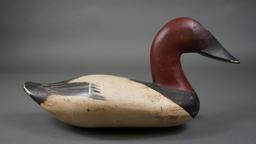 Canvasback by Jimmy Pierce