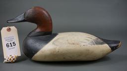 Canvasback from HdG
