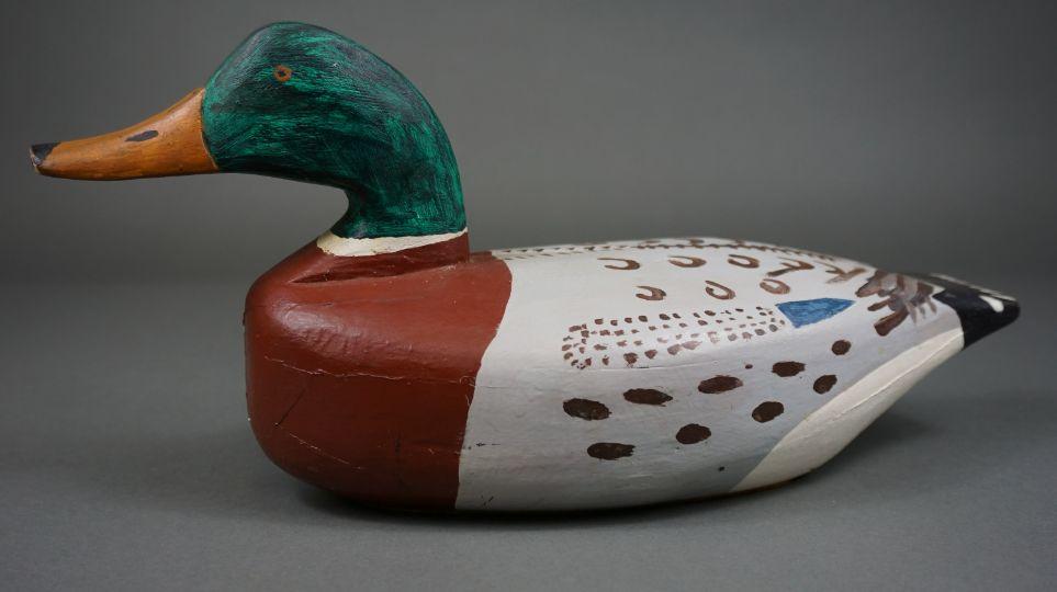 Mallard by Kirby Thompson