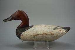 Canvasback by Jim Currier