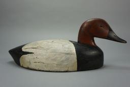 CANVASBACK FROM MICHIGAN