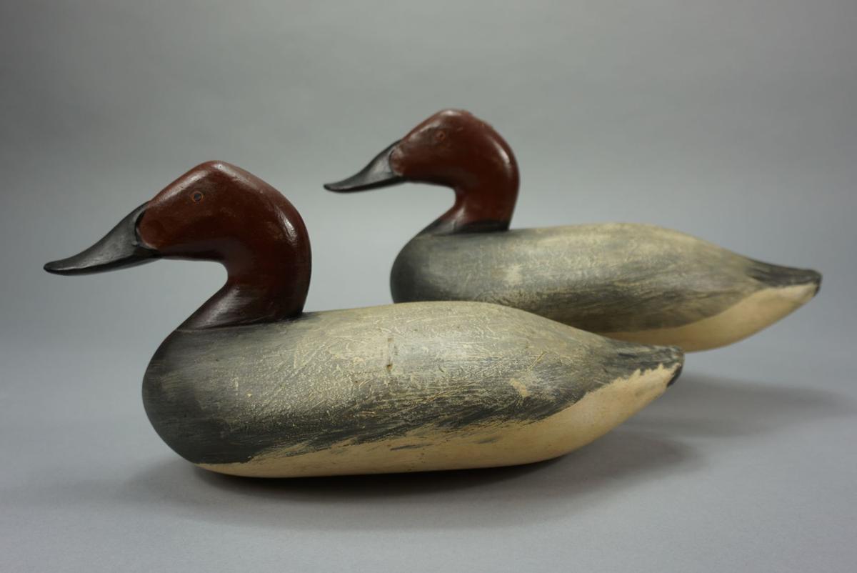 CANVASBACKS BY MADISON MITCHELL