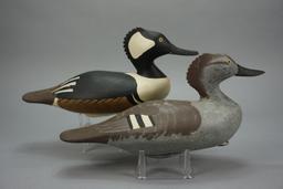 HOODED MERGANSER PAIR BY VERNON BRYANT