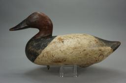 CANVASBACK BY MADISON MITCHELL