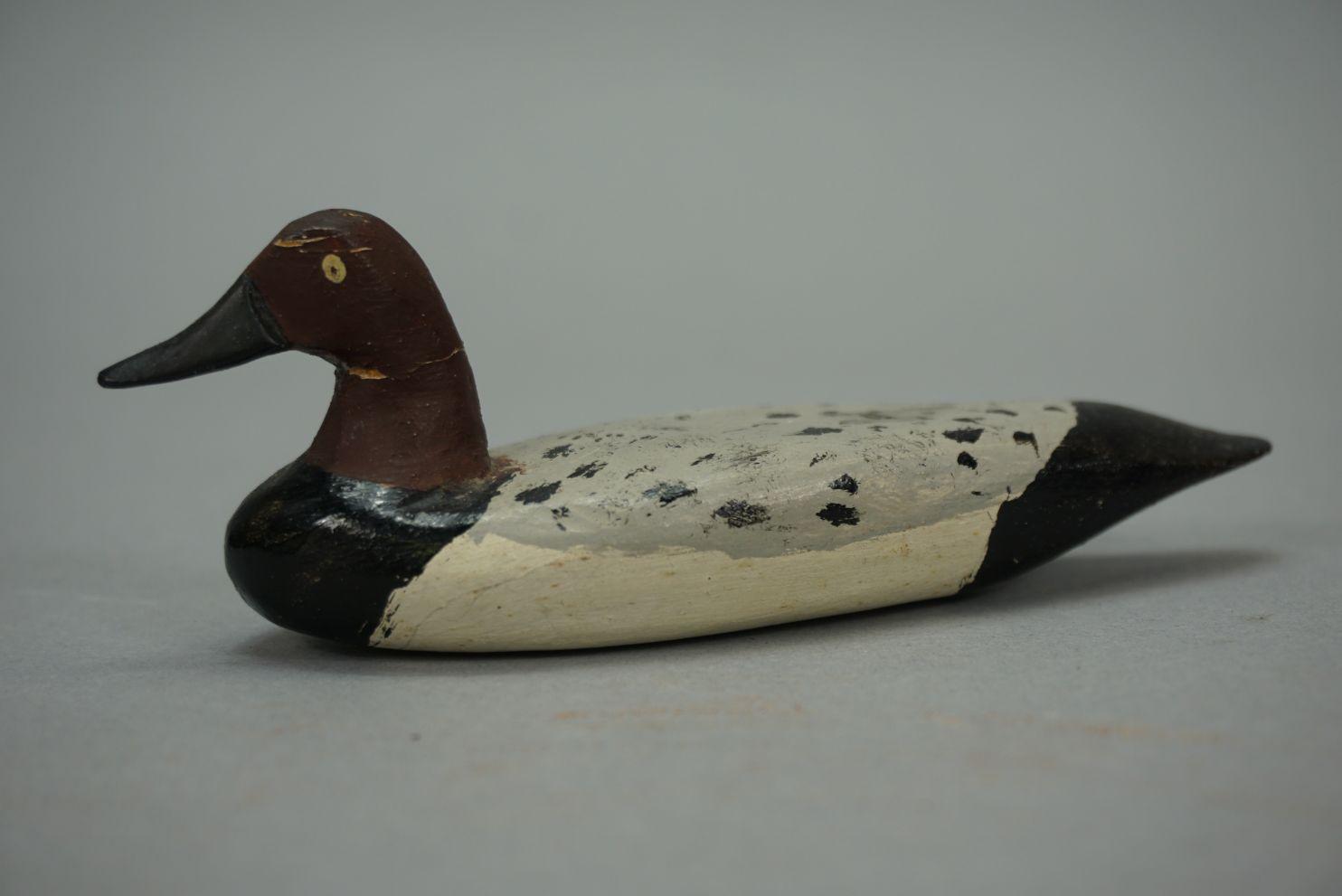 CANVASBACK BY DOUG JESTER