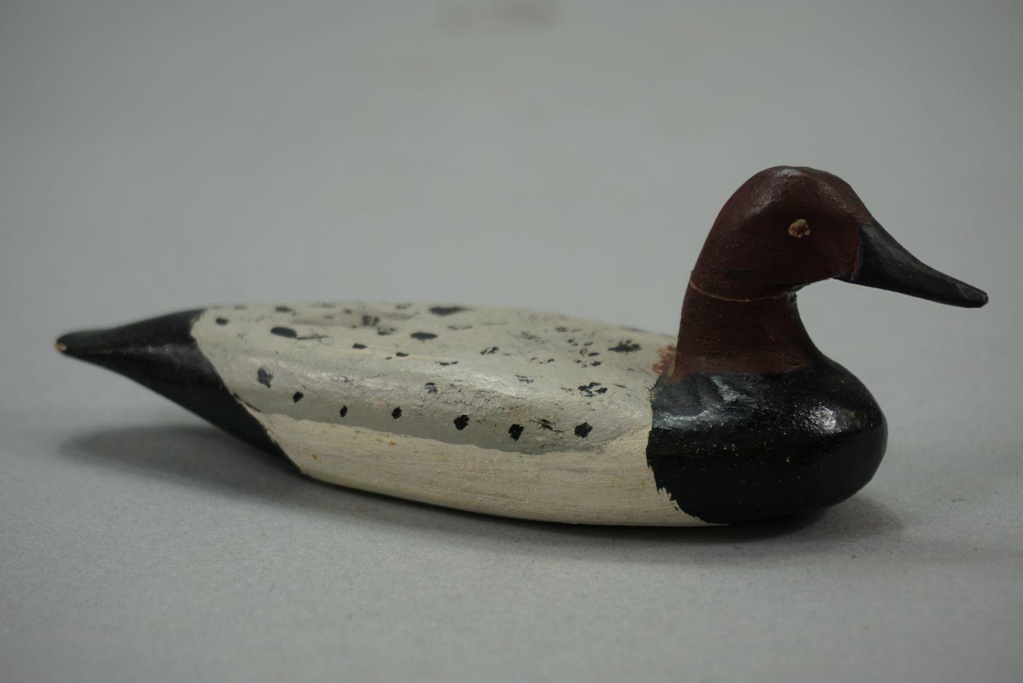 CANVASBACK BY DOUG JESTER