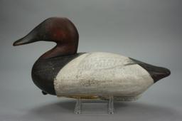 CANVASBACK BY DADDY HOLLY