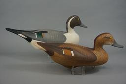 PINTAILS BY R. MADISON MITCHELL