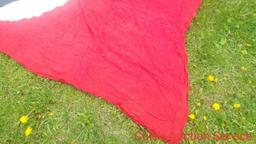 Large German Nazi flag measures 9 ft by 6 ft. See photos for details as it looks to be in very good