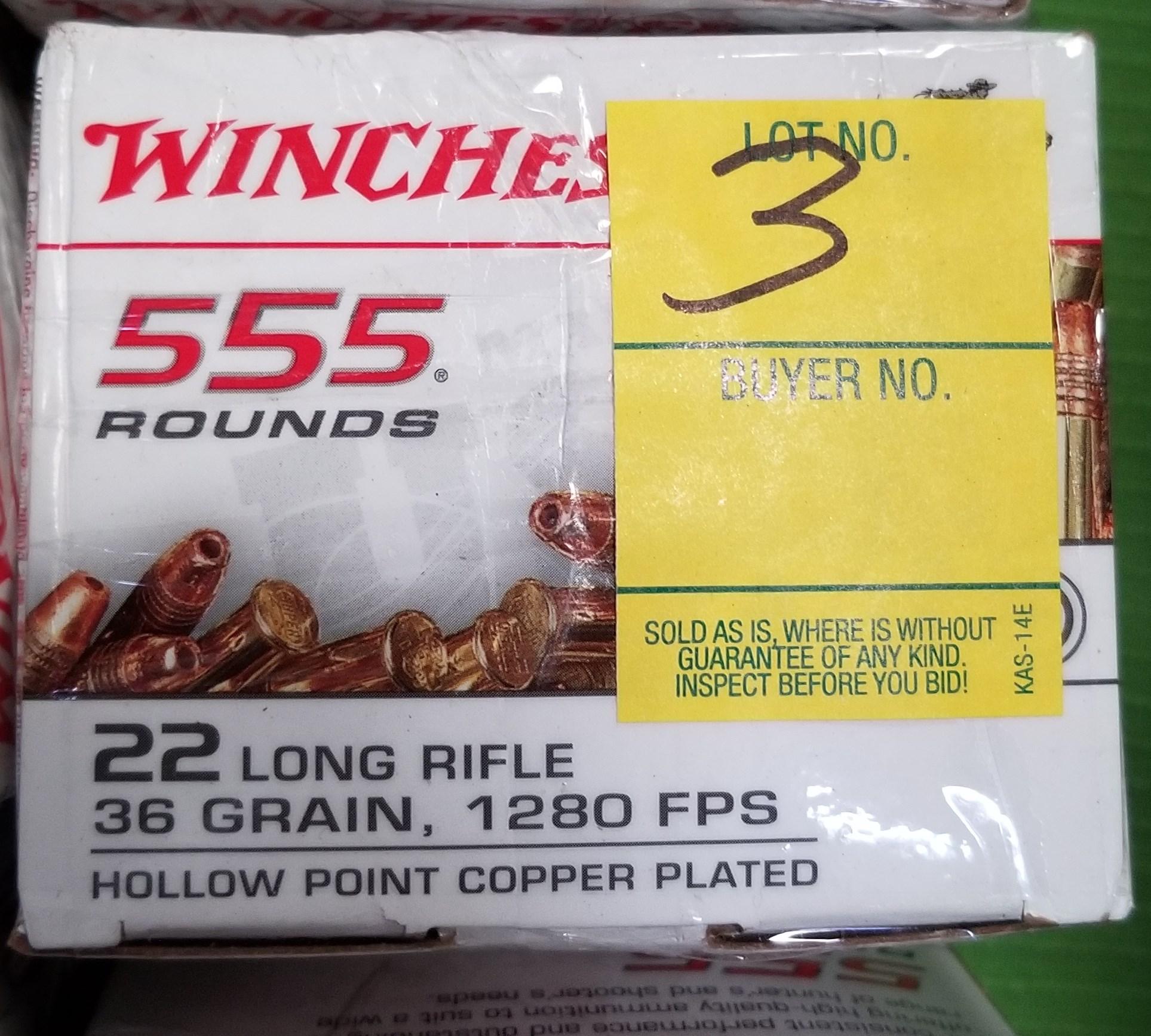 Winchester 555 Rounds 22 Long Rifle